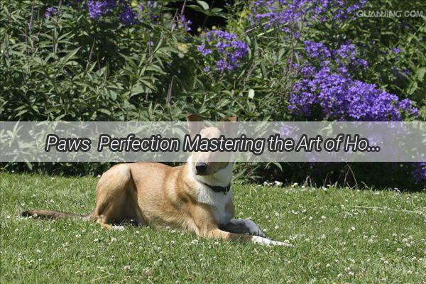 Paws  Perfection Mastering the Art of House Training Your Pup